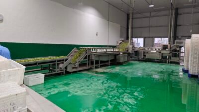 filter: 0; fileterIntensity: 0.0; filterMask: 0; brp_mask:0;
brp_del_th:null;
brp_del_sen:null;
module: photo;
hw-remosaic: false;
touch: (-1.0, -1.0);
sceneMode: 8;
cct_value: 6166;
AI_Scene: (-1, -1);
aec_lux: 728.0;
aec_lux_index: 236;
albedo:  ;
confidence:  ;
motionLevel: 0;
weatherinfo: null;
temperature: 42;