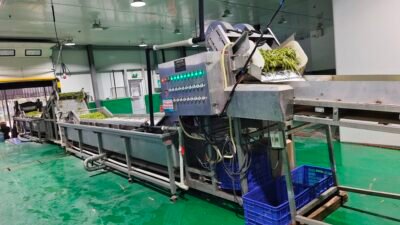 filter: 0; fileterIntensity: 0.0; filterMask: 0; brp_mask:0;
brp_del_th:null;
brp_del_sen:null;
module: photo;
hw-remosaic: false;
touch: (-1.0, -1.0);
sceneMode: 8;
cct_value: 6166;
AI_Scene: (-1, -1);
aec_lux: 521.0;
aec_lux_index: 268;
albedo:  ;
confidence:  ;
motionLevel: 0;
weatherinfo: null;
temperature: 40;